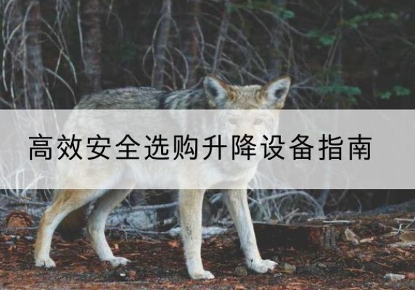 神农架林区升降货梯厂家推荐-*安全选购升降设备指南