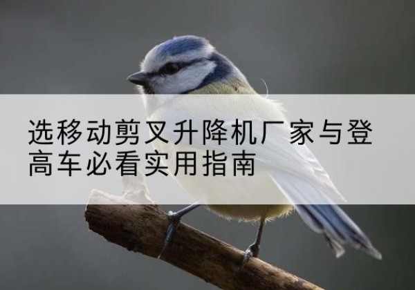 神农架林区电动升降机厂家-选移动剪叉升降机厂家与登高车必看实用指南